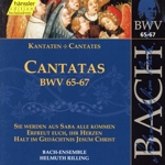 【輸入盤】Complete Bach:Cantatas Bwv65