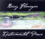 【輸入盤】Instrumental Peace