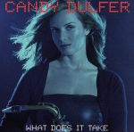 【輸入盤】What Does It Take