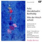 【輸入盤】Mendelssohn:Church Music Vol.4