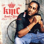 【輸入盤】Soul on Fire