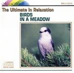 【輸入盤】Birds in a Meadow