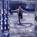 【輸入盤】Bright Silver Dark Wood