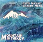 【輸入盤】Mountain in the Sky