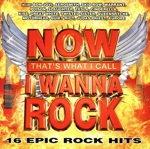 【輸入盤】Now That’s What I Call I Wanna Rock