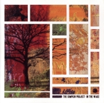 【輸入盤】In the Wake