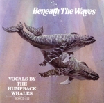 【輸入盤】Beneath the Waves