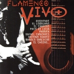 【輸入盤】Flamenco Vivo