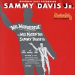 【輸入盤】Mr Wonderful