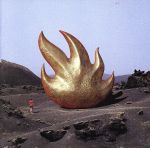 【輸入盤】Audioslave