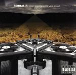 【輸入盤】What You Thought You Heard