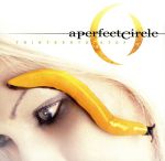 【輸入盤】Thirteenth Step
