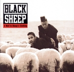 【輸入盤】A Wolf In Sheep’s Clothing