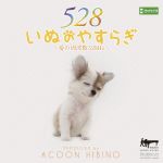 いぬのやすらぎ~愛の周波数528Hz~