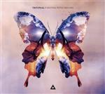 【輸入盤】Painting With Dreams