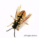 【輸入盤】ALL BRIGHT ELECTRIC