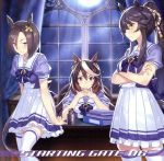 ゲーム『ウマ娘 プリティーダービー』STARTING GATE 06