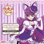 キラキラ☆プリキュアアラモード sweet etude 4 キュアマカロン CAT MEETS SWEETS