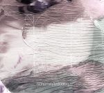 echoes(DVD付)