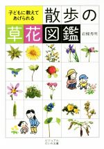 散歩の草花図鑑 子どもに教えてあげられる-(ビジュアルだいわ文庫)