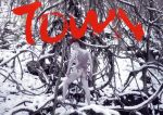 TOWN(初回限定盤)(2CD)(DVD付)(BOX、DVD1枚付)