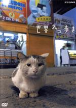 岩合光昭の世界ネコ歩き チリ(リーフレット、ポストカード1枚付)