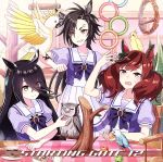 ゲーム『ウマ娘 プリティーダービー』STARTING GATE 12