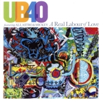 【輸入盤】A Real Labour of Love