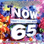 【輸入盤】Now, Vol.65:That’s What I Call Music