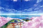 曇天に笑う<外伝>~桜華、天望の架橋~(Blu-ray Disc)