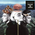 【輸入盤】What Is Love?