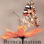 Reincarnation(TYPE C)