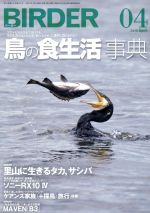 BIRDER -(月刊誌)(2019年4月号)