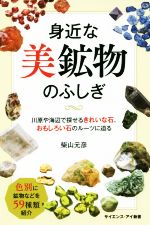 身近な美鉱物のふしぎ 川原や海辺で探せるきれいな石、おもしろい石のルーツに迫る-(サイエンス・アイ新書)