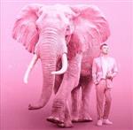 pink ELEPHANT