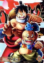 ONE PIECE ワンピース 20THシーズン ワノ国編 piece.10