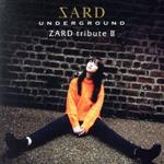 ZARD tribute Ⅱ(初回限定盤)(DVD付)(DVD1枚付)