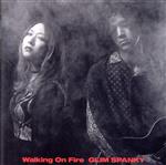 Walking On Fire(初回限定盤)(DVD付)(ライブ音源CD1枚、DVD1枚付)