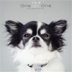 犬塚愛 One on One Collaboration