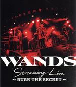 WANDS Streaming Live ~BURN THE SECRET~(Blu-ray Disc)