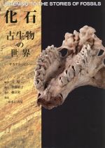 化石 古生物の世界 サカナからヒトへ-