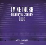 写真集 TM NETWORK How Do You Crash It? two AFTER PAMPHLET