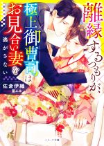 離縁するつもりが、極上御曹司はお見合い妻を逃がさない -(ベリーズ文庫)