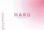SEVENTEEN 2019 JAPAN TOUR ‘HARU’(Blu-ray Disc)