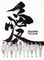 BIG LOVE(初回生産限定盤A)(Blu-ray Disc付)(Blu-ray Disc1枚、フォトブック付)