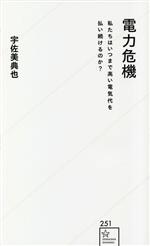 電力危機 私たちはいつまで高い電気代を払い続けるのか? -(星海社新書251)