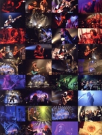 NEMOPHILA TOUR 2023 -Seize the Fate-(Blu-ray Disc)