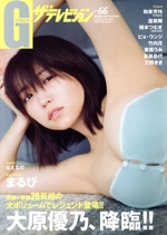 グラビア ザ・テレビジョン -(KADOKAWA MOOK)(vol.66)
