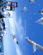 ACTUS STYLE BOOK -(vol.10)