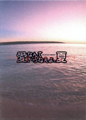 愛なんていらねえよ 夏 ｄｖｄ ｂｏｘ 中古dvd 渡部篤郎 広末涼子 藤原竜也 ゴルゴ松本 ｔｉｍ 森本レオ 坂口良子 堤幸彦 松原浩 ブックオフオンライン